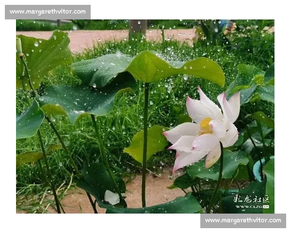 光影三晋定格时代华章山西省摄影大赛面向全社会征集佳作共绘锦绣