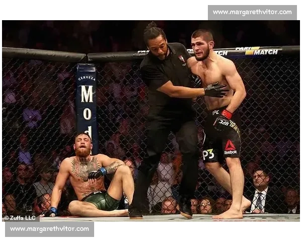 康纳与小鹰激烈对决 谁能成为轻量级冠军的真正王者