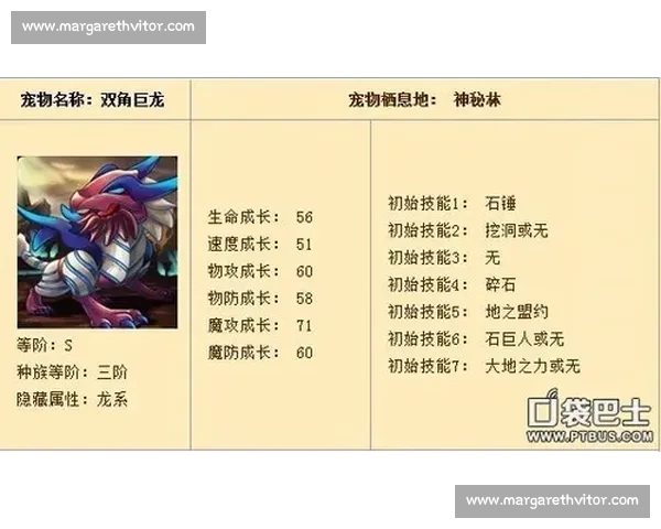 打造顶级宠物竞赛冠军训练秘籍从基础到进阶的全面指南