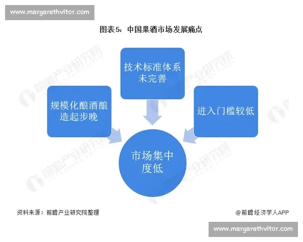 以企业品牌忠诚为核心驱动的用户价值共创与长期增长路径研究机制探索