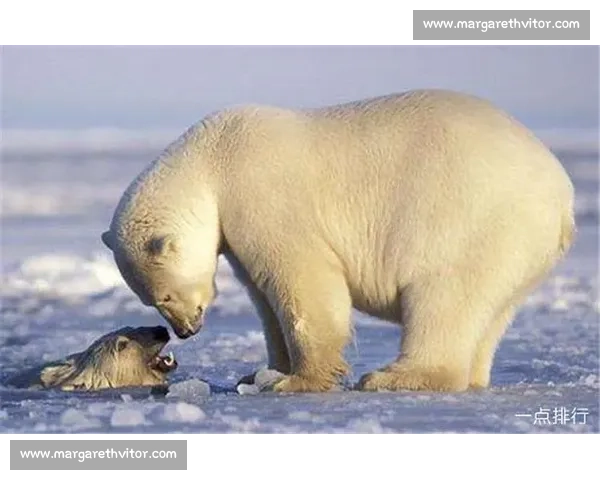 比赛专用的动物种类与特点及其在竞技活动中的应用分析